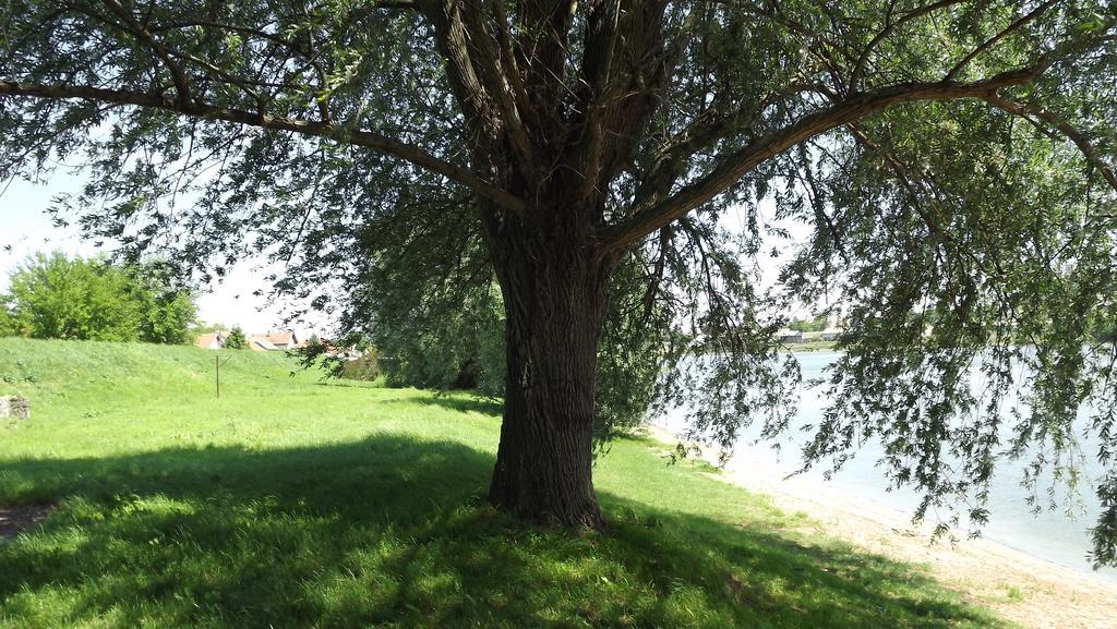 Apartments Osijek By The River Екстериор снимка